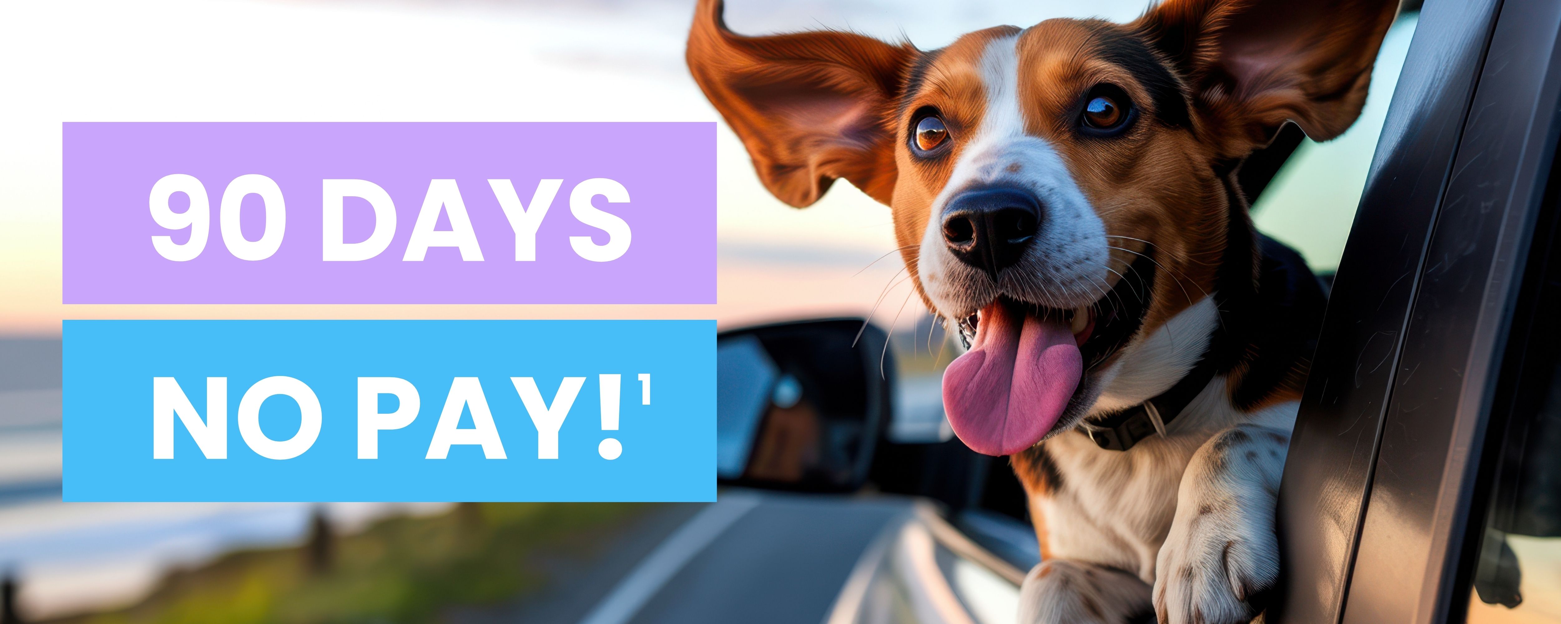 Dow Credit Union offers 90 days no pay!