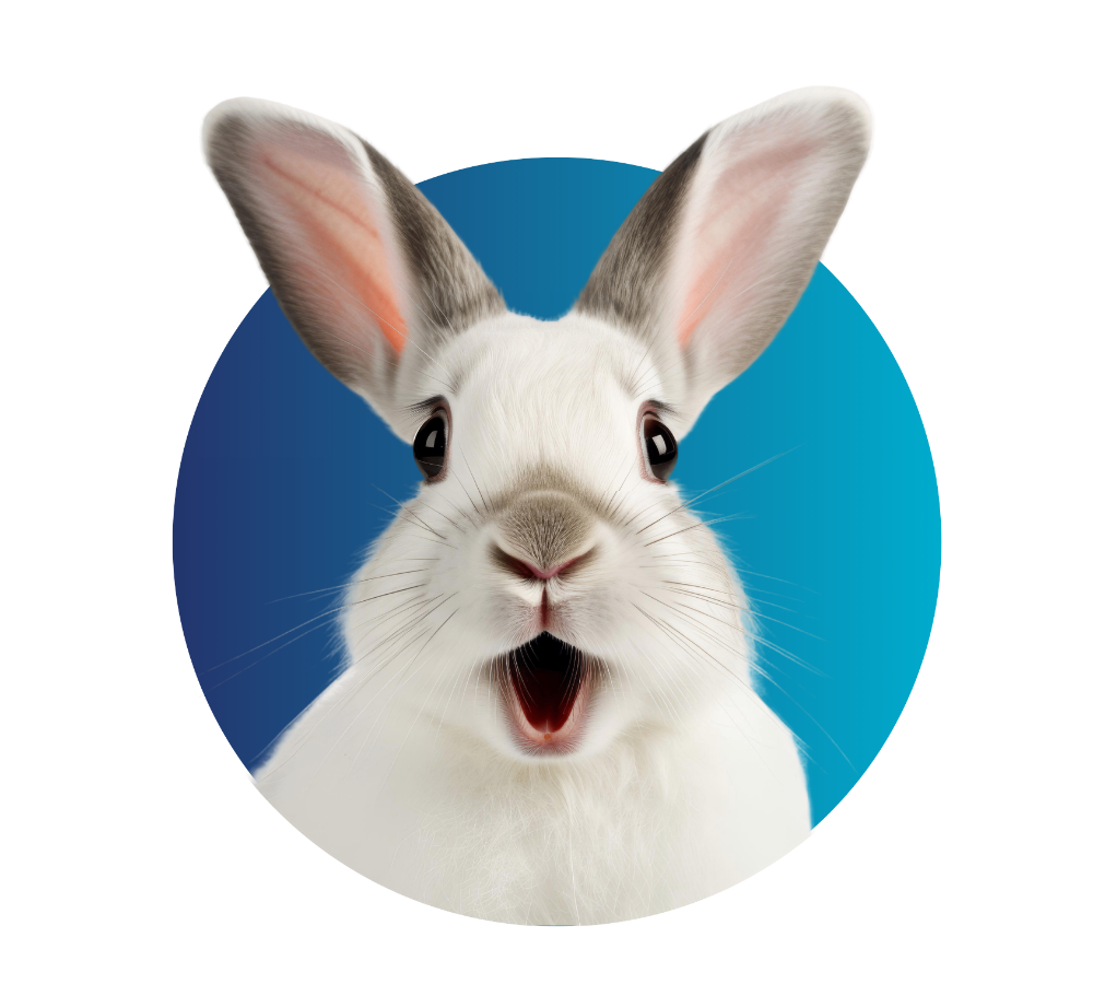 Dow Credit Union - Low Rate Visa - Rabbit Dow Credit Union's Credit Cards are WOW!