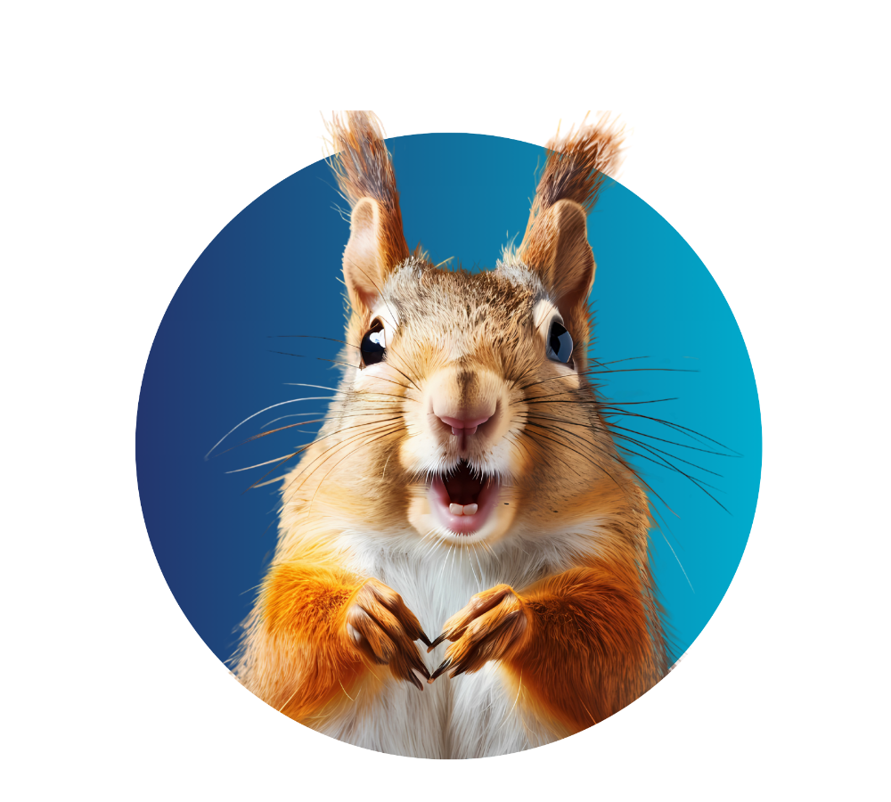 Dow Credit Union - Low Rate Visa - Squirrel Dow Credit Union's Credit Cards are WOW!