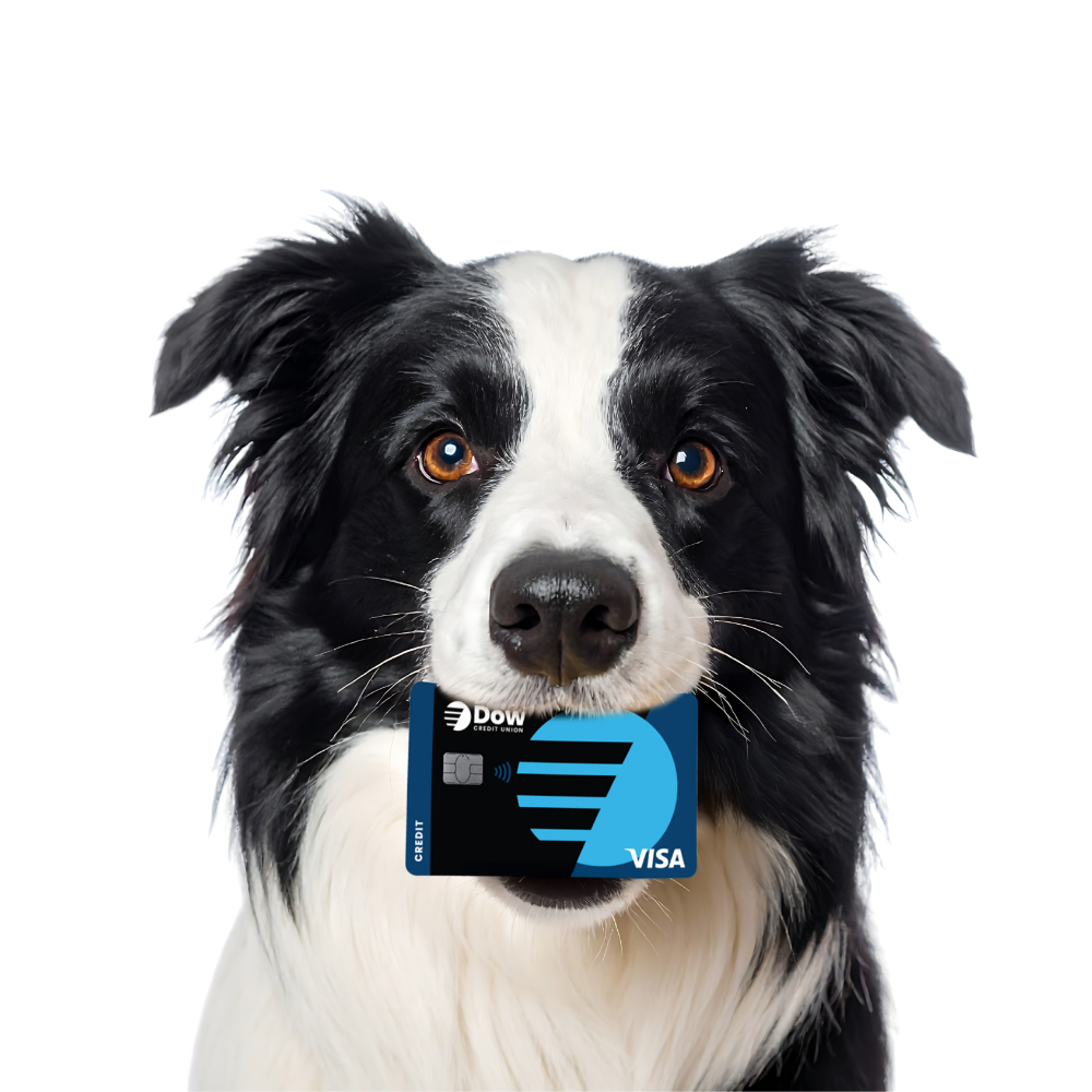 Wow! That's a great rate!