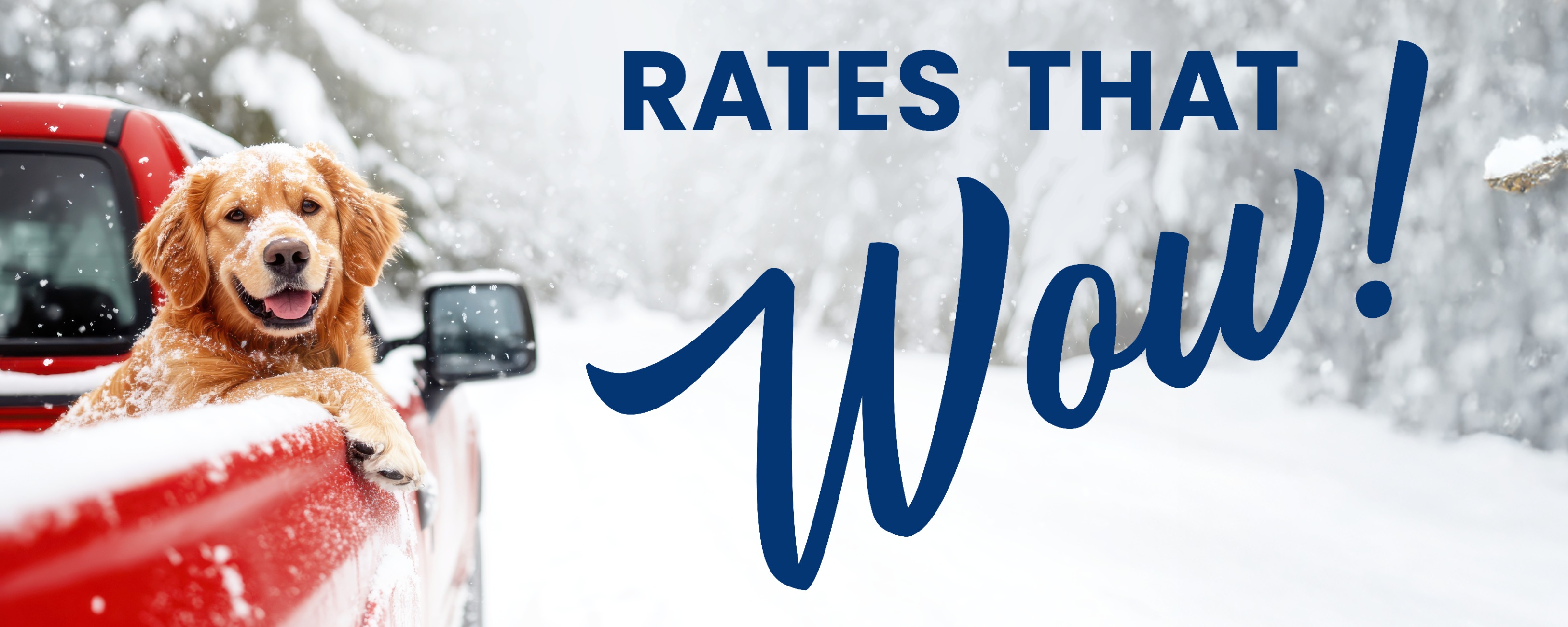 Dow Credit Union | Rates that WOW!