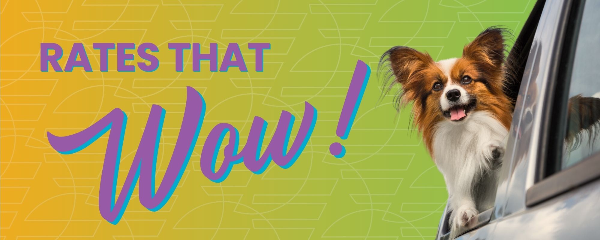 Dow Credit Union | Rates that WOW!